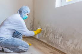 Mold Removal for HVAC Installations in Hanover, MN